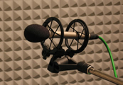 Microphone